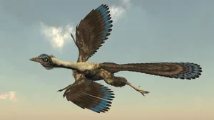 Der Archäopterix benutzte eine besondere Flugtechnik.