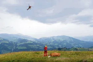 Rega