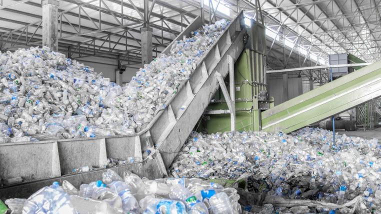Pet-Recycling