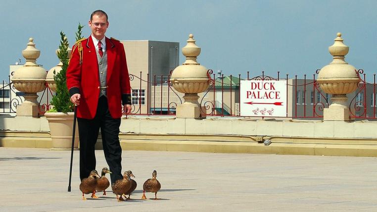 duckmaster.jpg