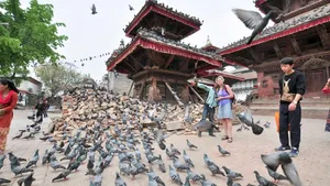 Solche Szenen könnten sich in Nepal wiederholen: Tauben und Menschen nach dem verheerenden Erdbeben in Kathmandu von 2016.