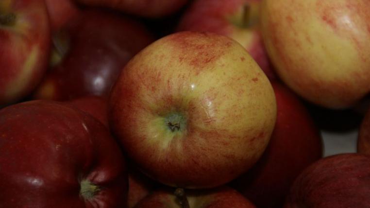 Äpfel-close-up