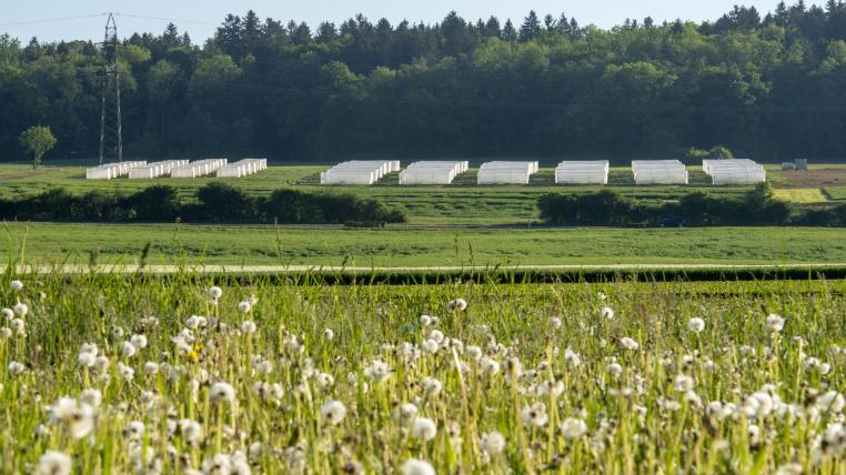 Versuchsfeld und Gewächshäuser der Agroscope