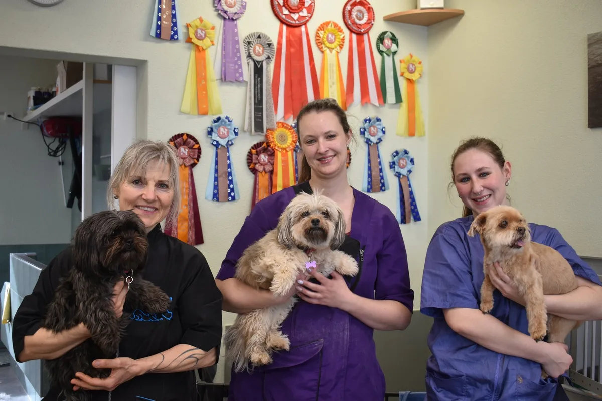 Team_Hundesalon_Panda_2 Zu Besuch im Hundesalon Panda in Muhen (AG): Zwischen Schere, Bürste und vielen Terminen