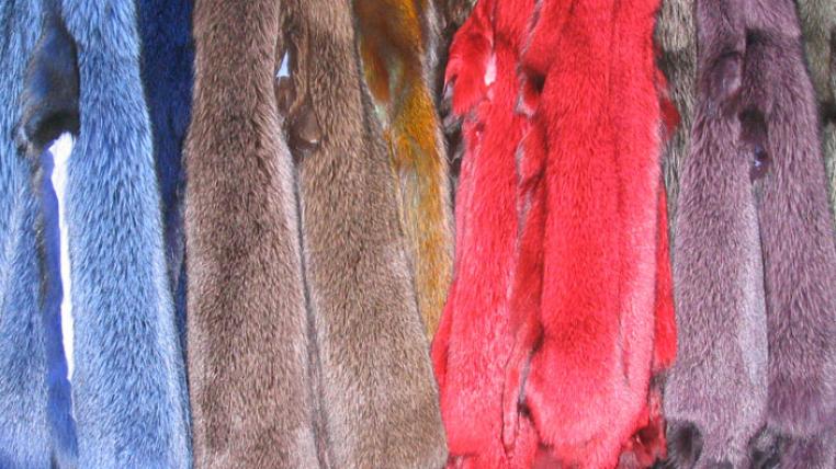 Bluefrost_fox_fur_skins_dyed-s.jpg