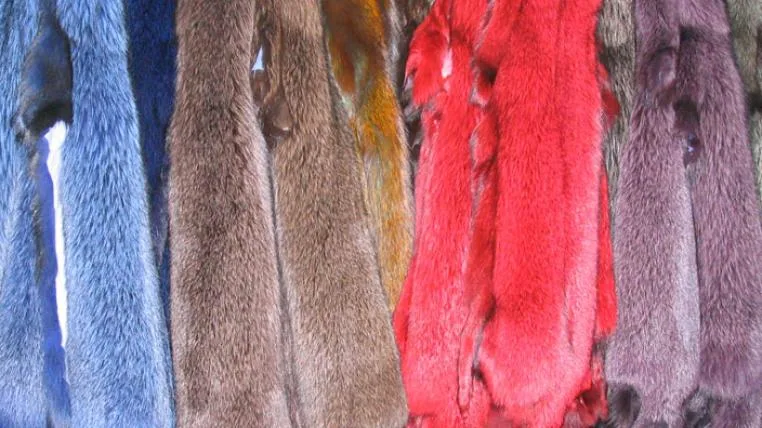 72a4b7c6446ef88087a8c77ae0c34e2588223910 Bluefrost_fox_fur_skins_dyed-s.jpg