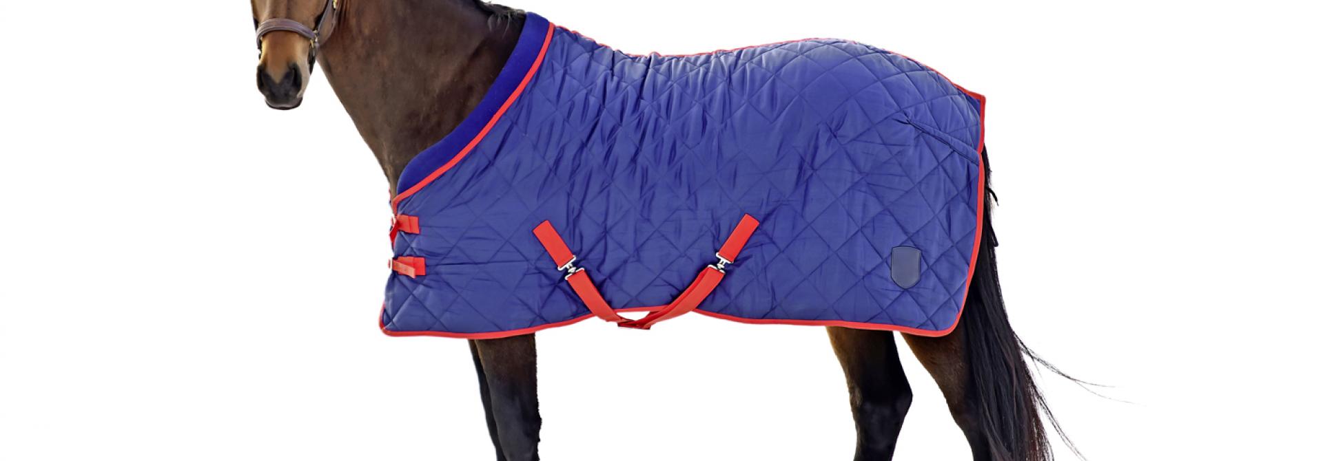 pferd-abschwitzdecke.jpg