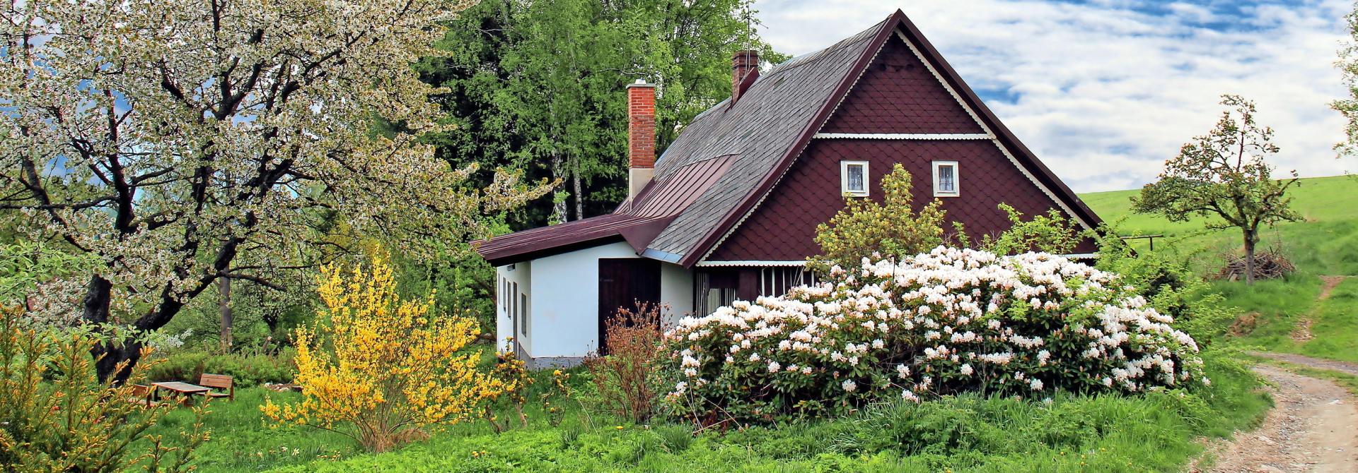schoener-garten-kleines-budget.jpg