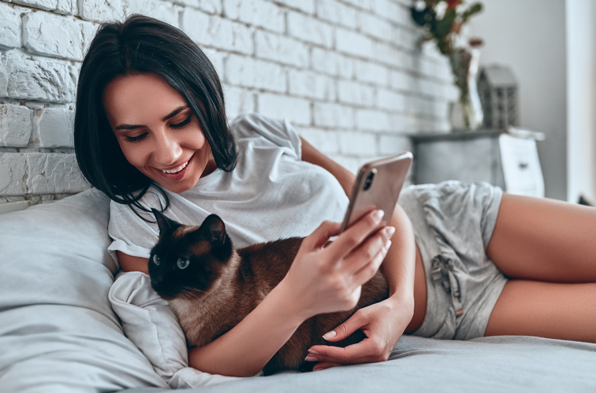 Künstliche Intelligenz für das Wohl von Katzen