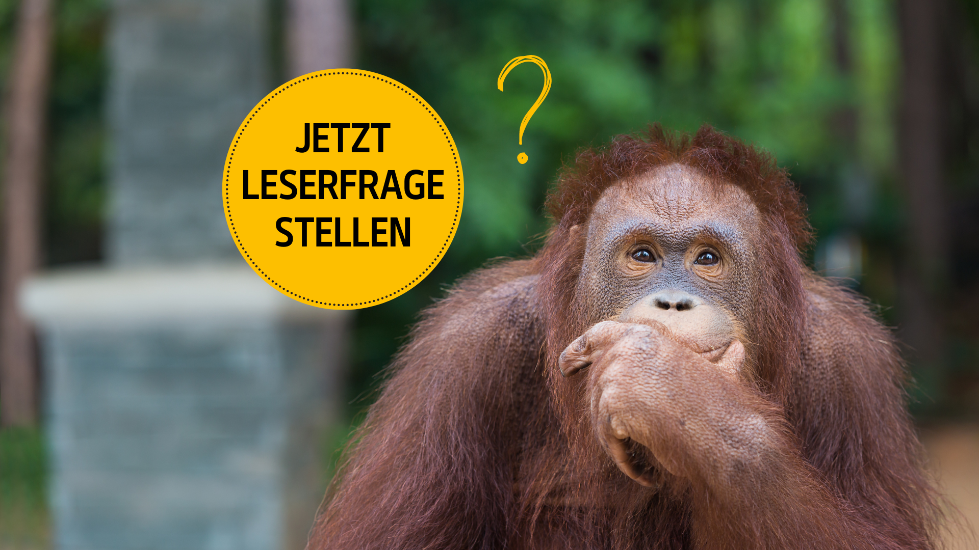 Stellen Sie jetzt Ihre Leserfrage zu Tier und Natur