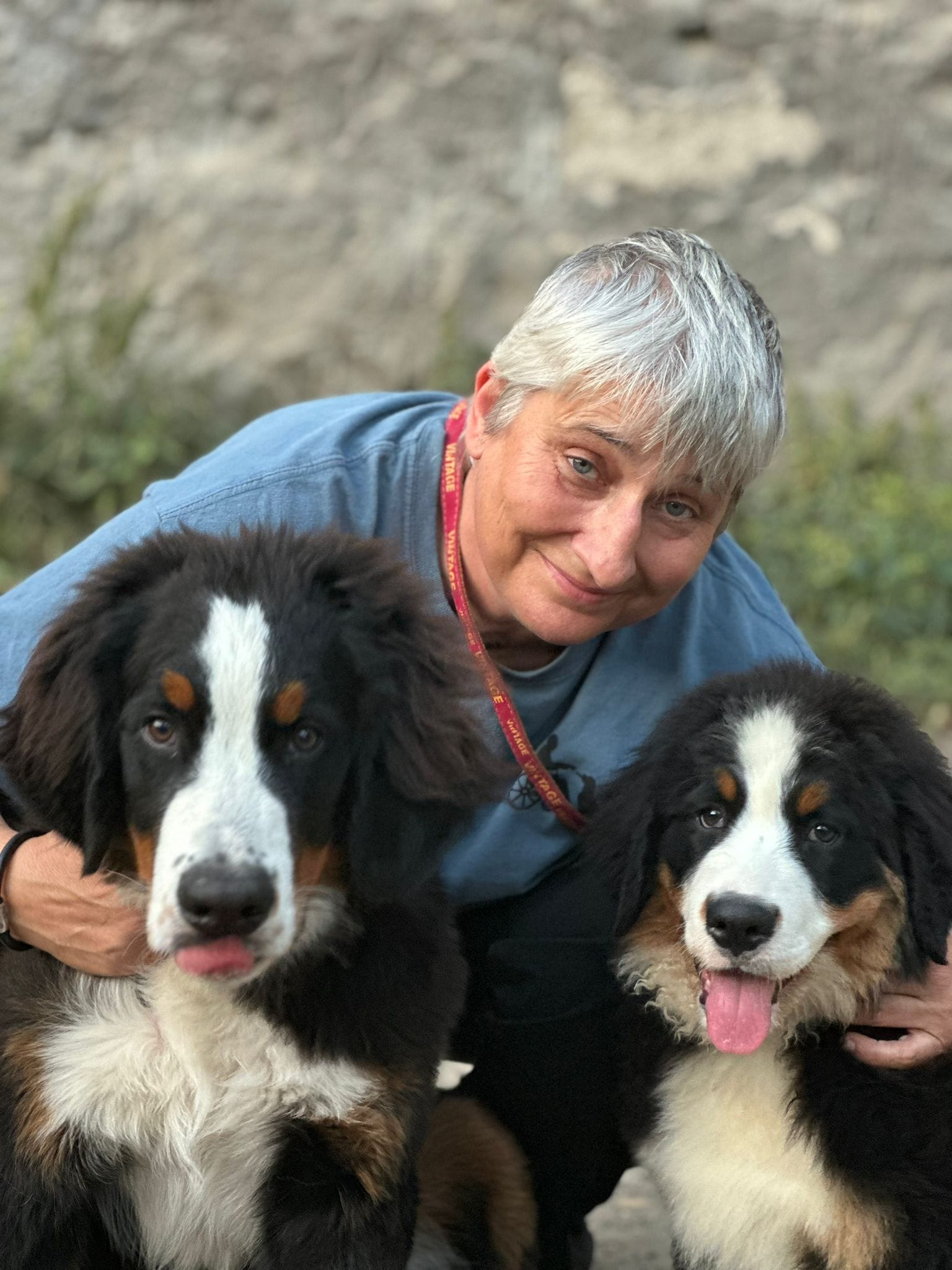 «Jeder Hund kann ein Assistenzhund sein»