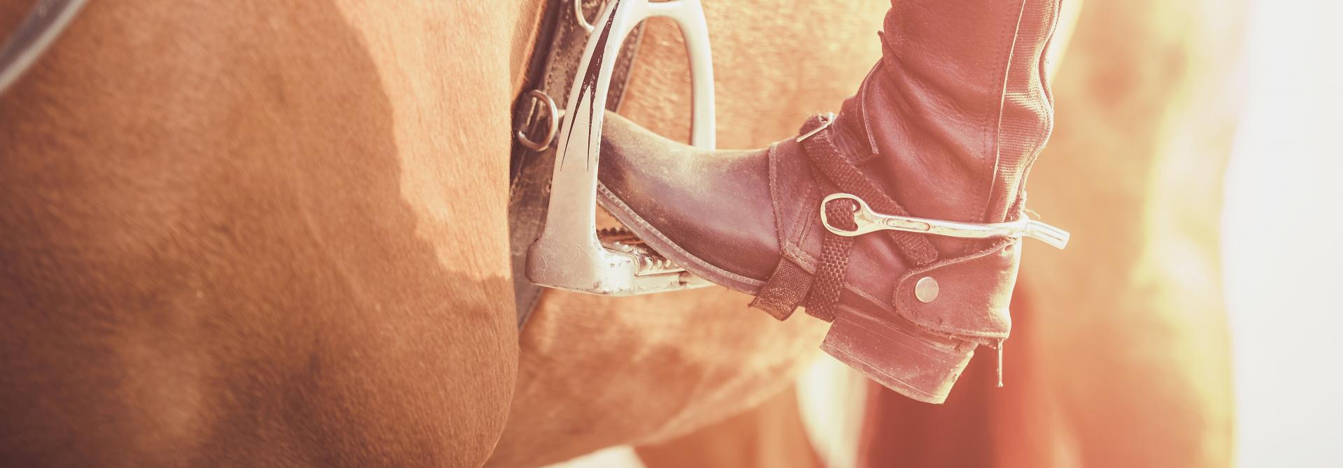 Reiter steigt aufs Pferd