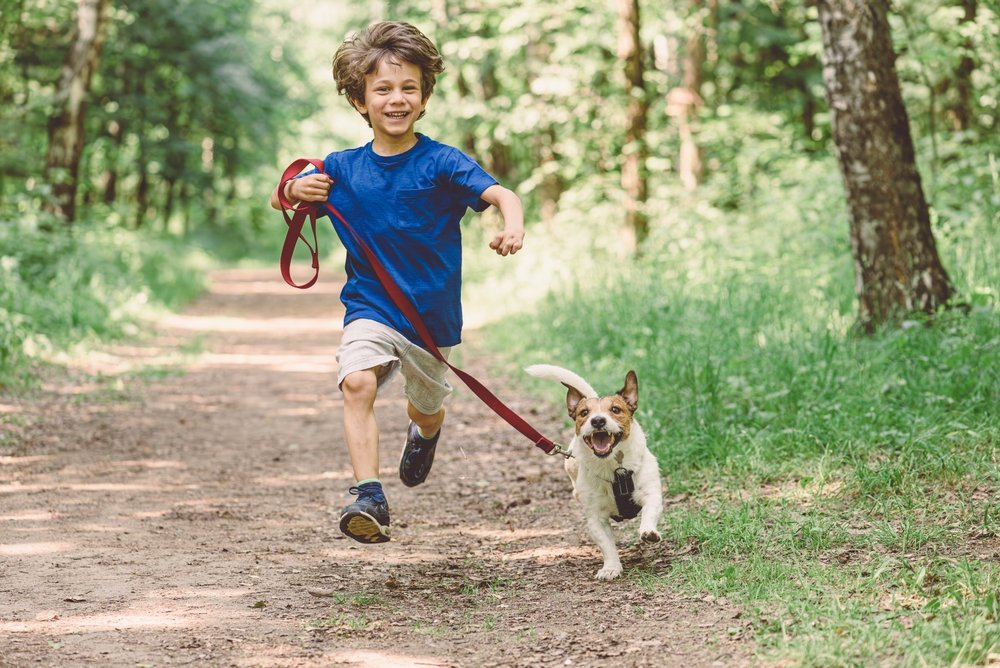 Tierische Freunde für Kinder