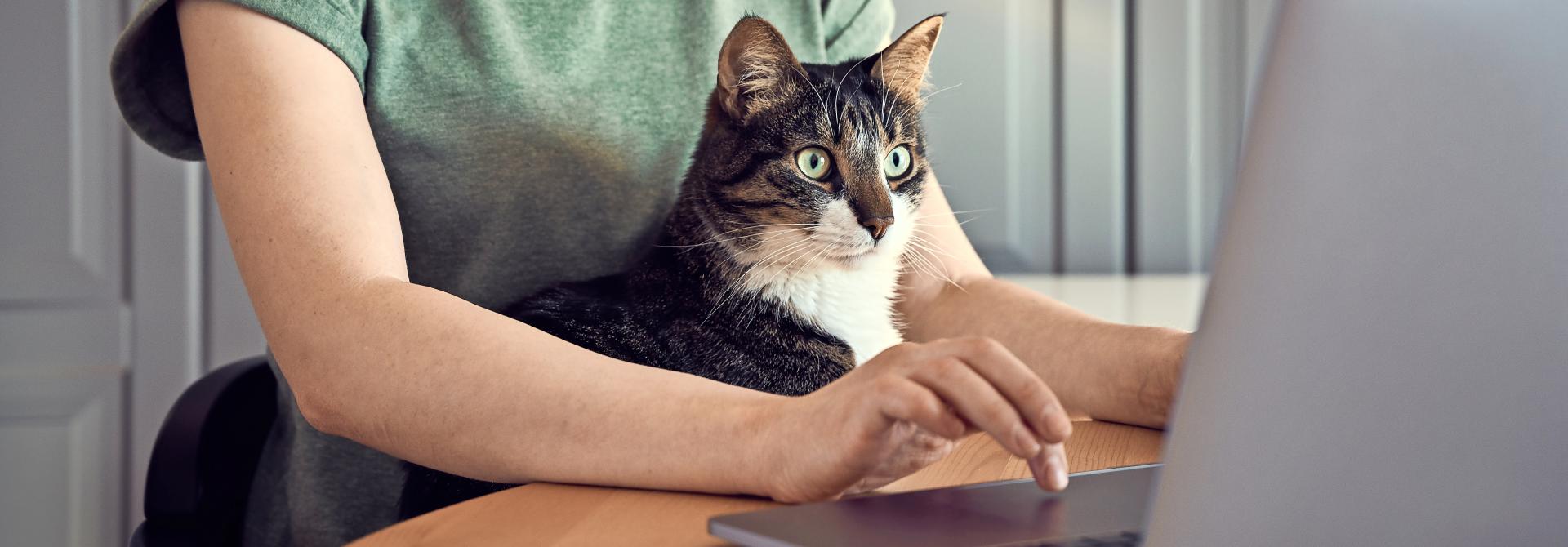 Frau mit Katze im Homeoffice