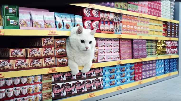 Netto Katze