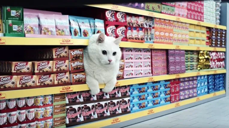 4c607535a415e65d526de24938bea338af31f9a1 Netto Katze