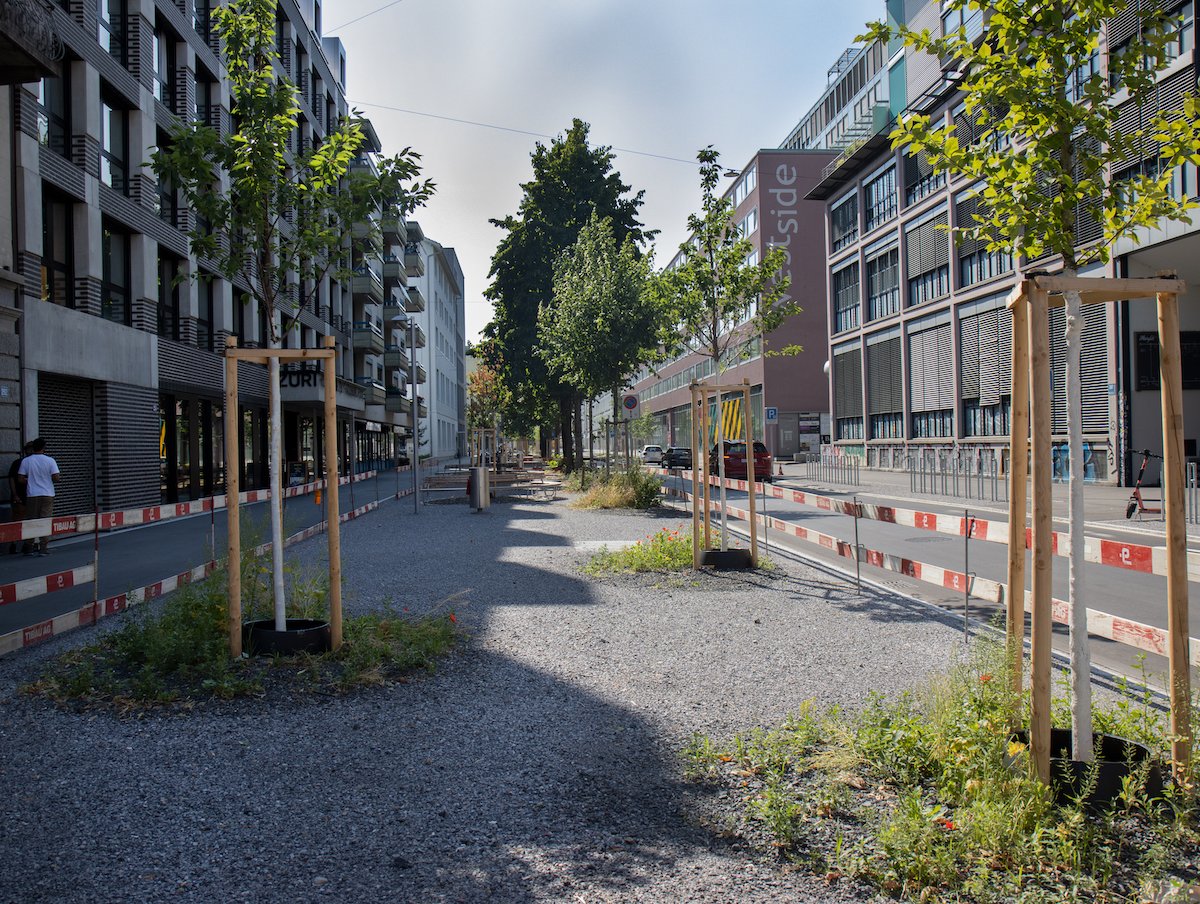 Die Stadt Zürich wird immer grüner