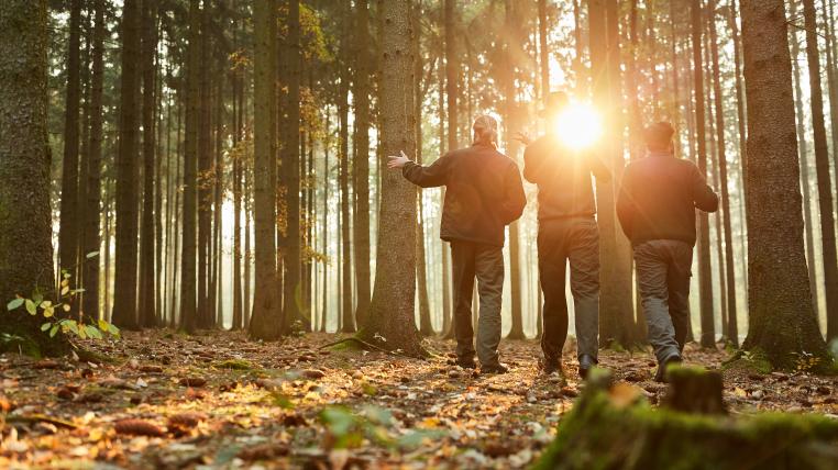 Förster laufen durch Wald