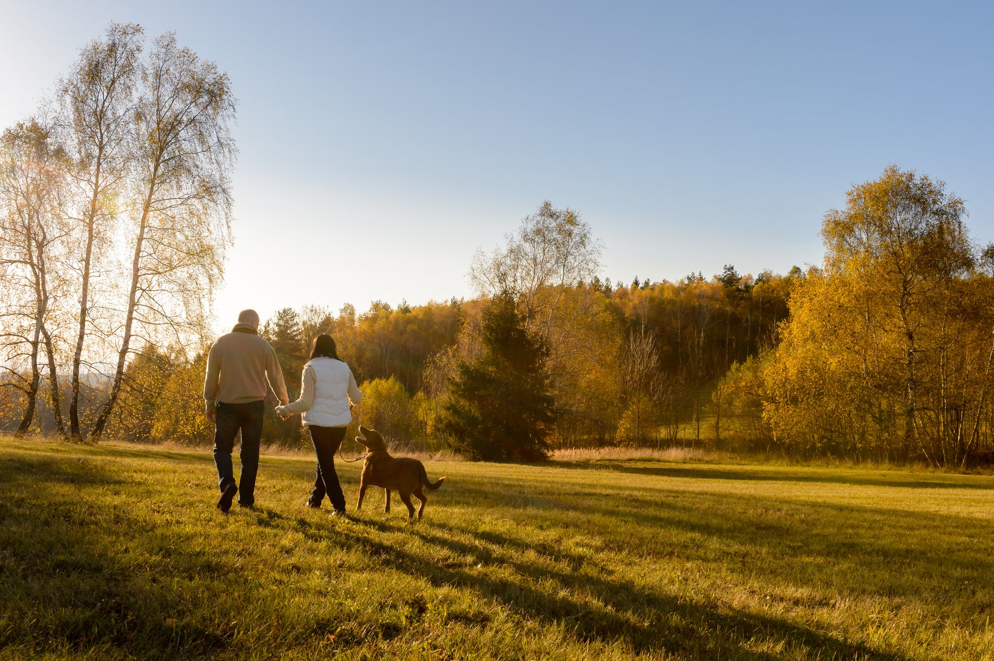 Tierliebe trifft sich: verliebt.tierwelt.ch bringt Herzen zusammen