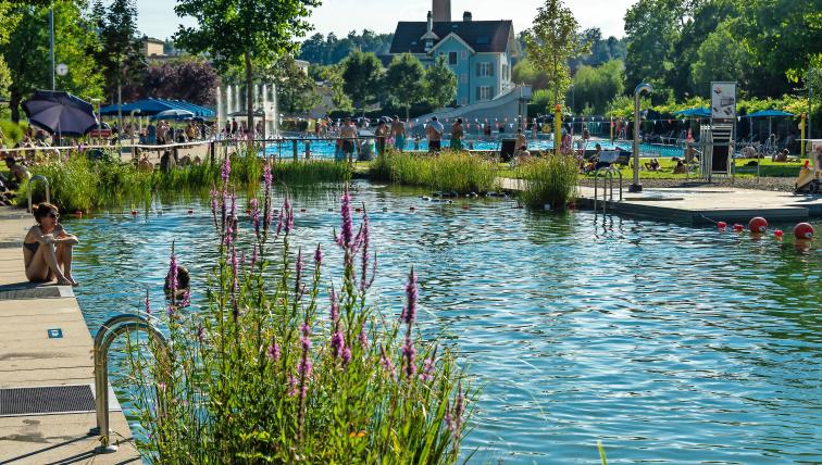 Naturpool Geiselweid Winterthur
