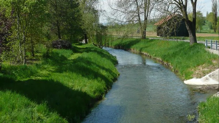 44e2e307460db855529db276800132e6e121722e Die Biber bei Ramsen Sh