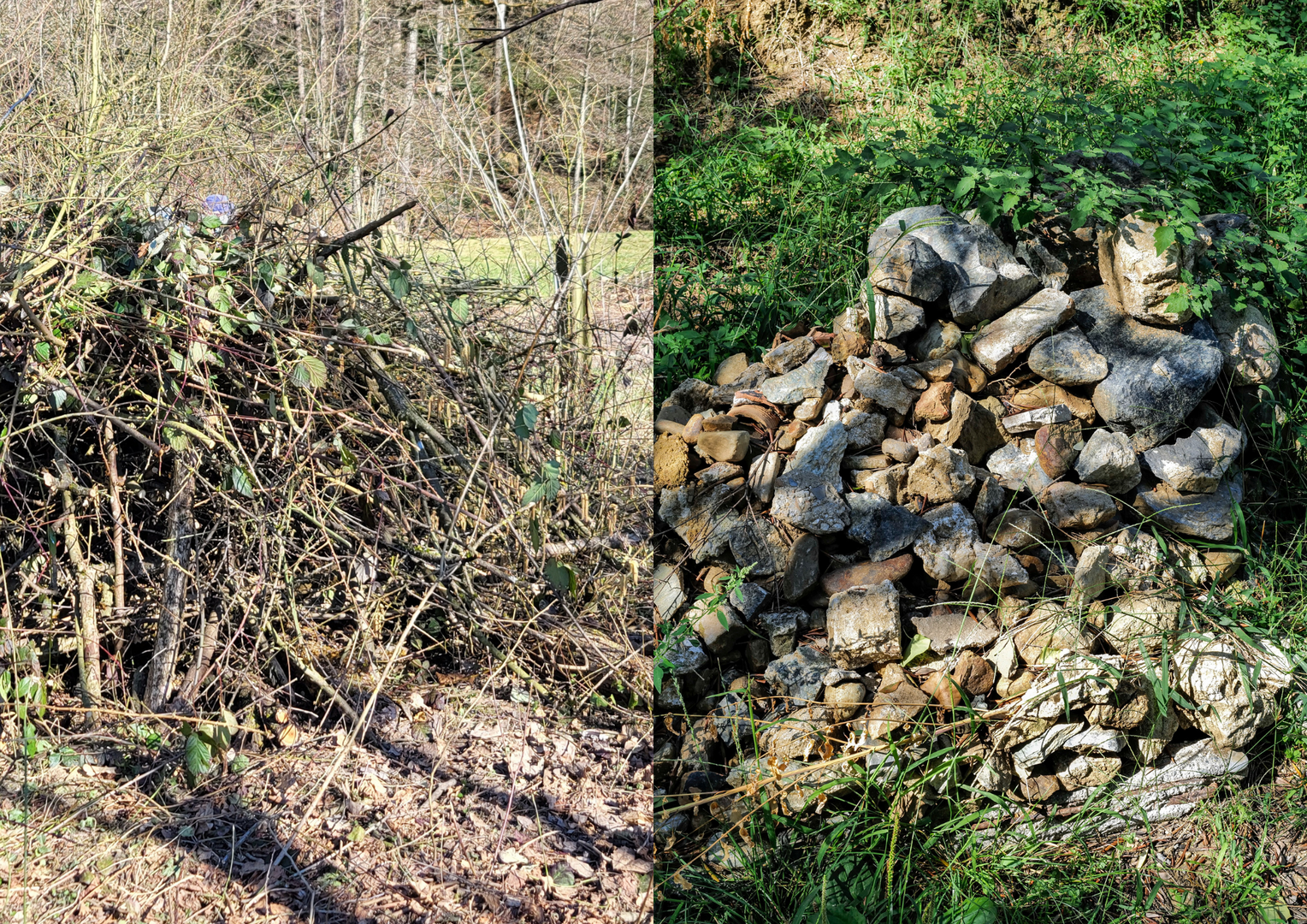 Do it yourself: Anleitung für Asthaufen und Steinhaufen