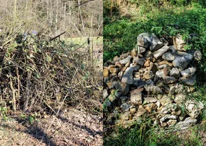 Ast- und Steinhaufen sind sehr einfache Massnahmen für mehr Biodiversität.