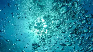Zum Weltwassertag warnt der WWF vor einer Wasserkrise.