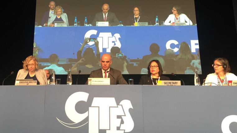 cites-eroeffnung.jpg