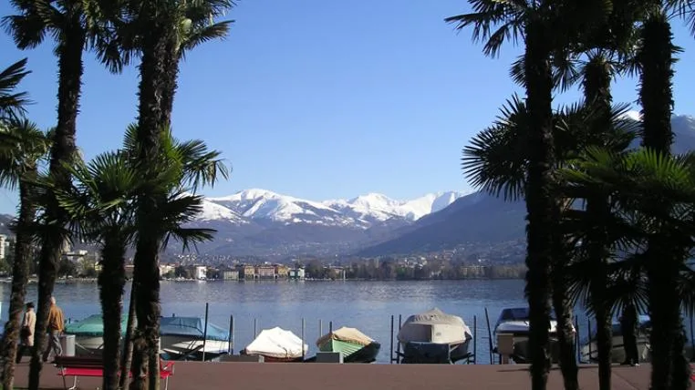 38245ae2d4f8e050582acff653dc9134bd2ee15d Palmen am Ufer vom Luganersee