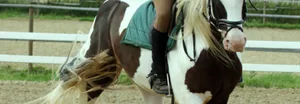 Schlangenlinien reiten kann helfen, das Pferd gerade zu richten.