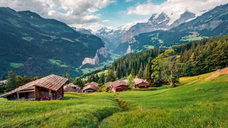 Berner Wald bei Wengen