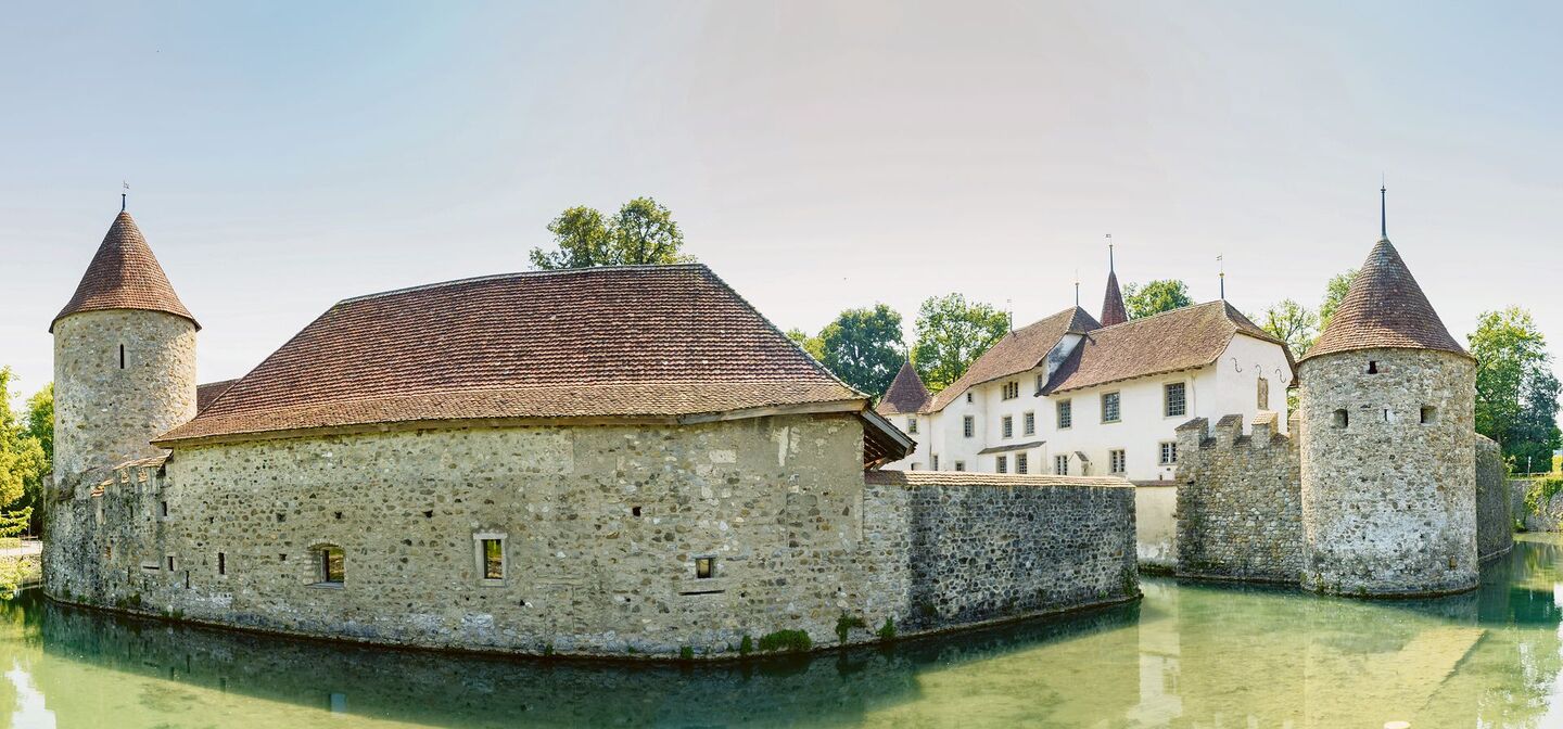 Das Wasserschloss Hallwyl ist eines der bedeutendsten der Schweiz. Die Scharten und Vertiefungen in den Mauern werden von Dohlen besiedelt.