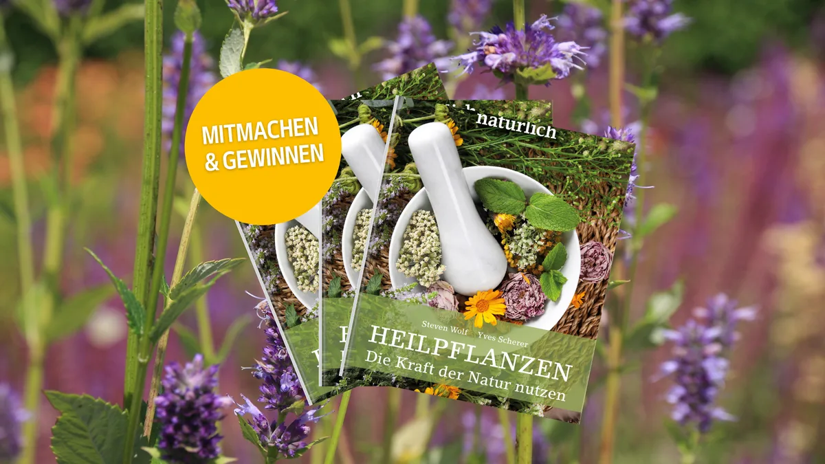 buchverlosung_heilpflanzen Heilpflanzen entdecken – Buch «Die Kraft der Natur nutzen» gewinnen