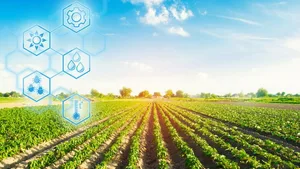 Der Einsatz chemischer Mittel in der Landwirtschaft ist mit Risiken und Gefahren verbunden.