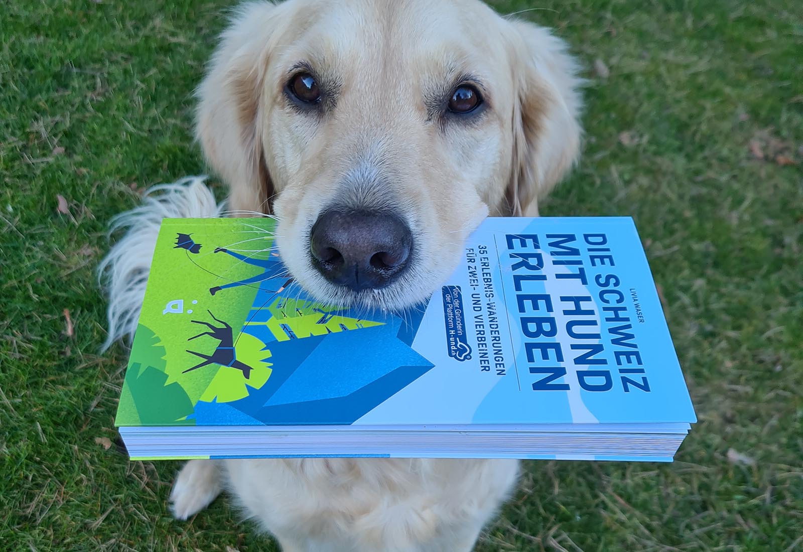 Das sind die Gewinner der Buchverlosung «Die Schweiz mit Hund erleben»