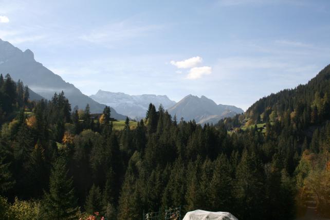 IMG_5074.JPG