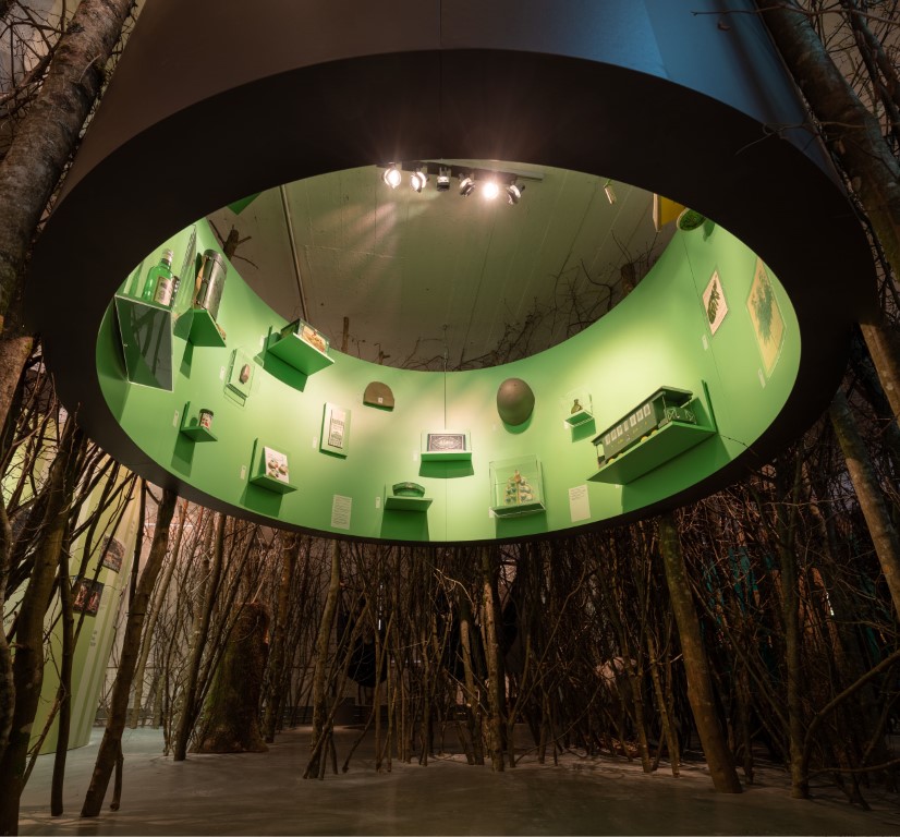 Die Ausstellung «Schatzkammer Wald» bringt den Wald ins Museum
