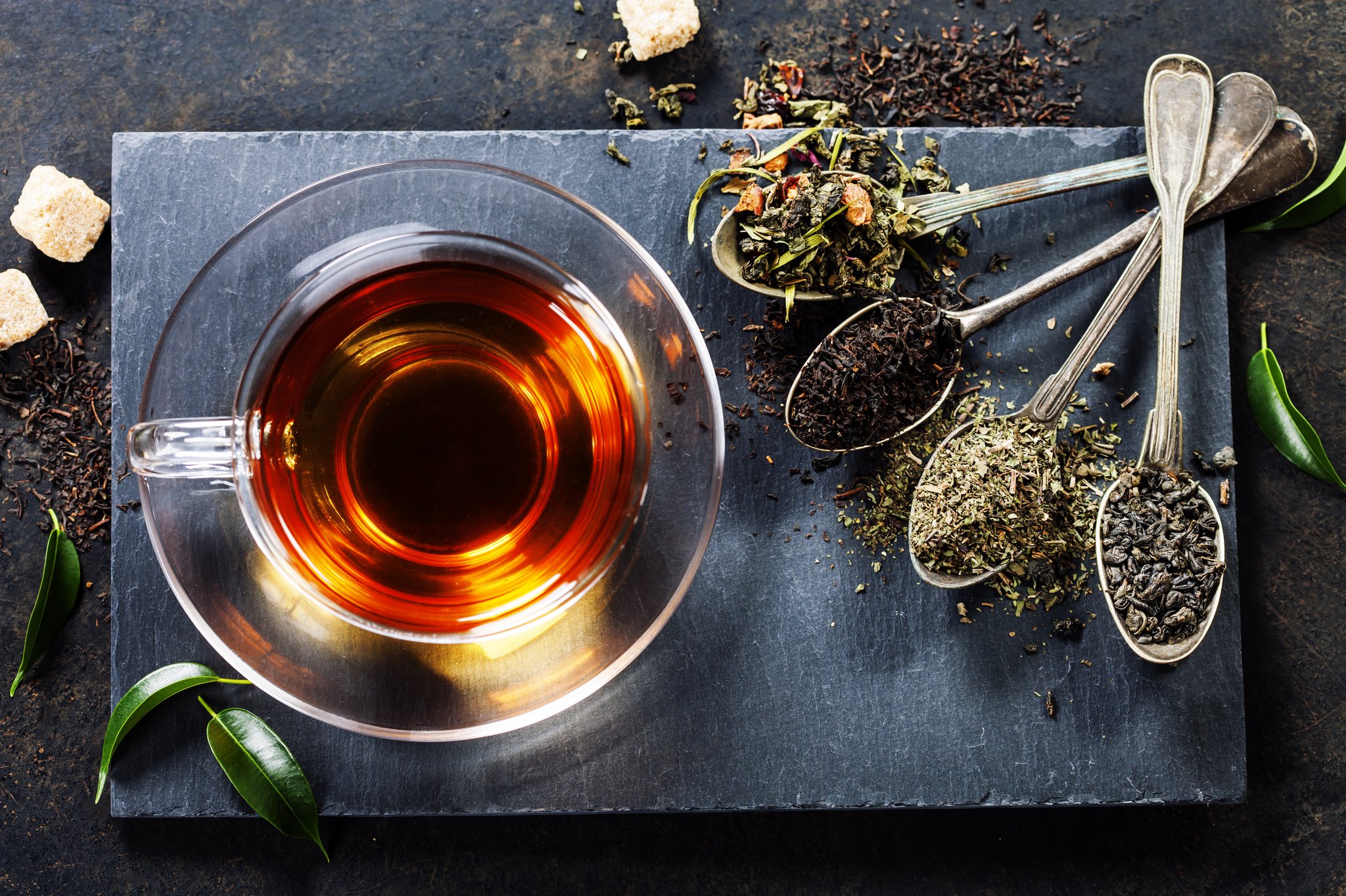 Was ist der Unterschied zwischen Mate-Tee, Schwarztee und Grüntee?