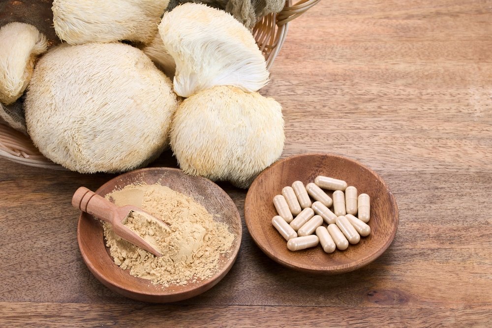 Vitalpilze als Schlüssel zu einem besseren Leben