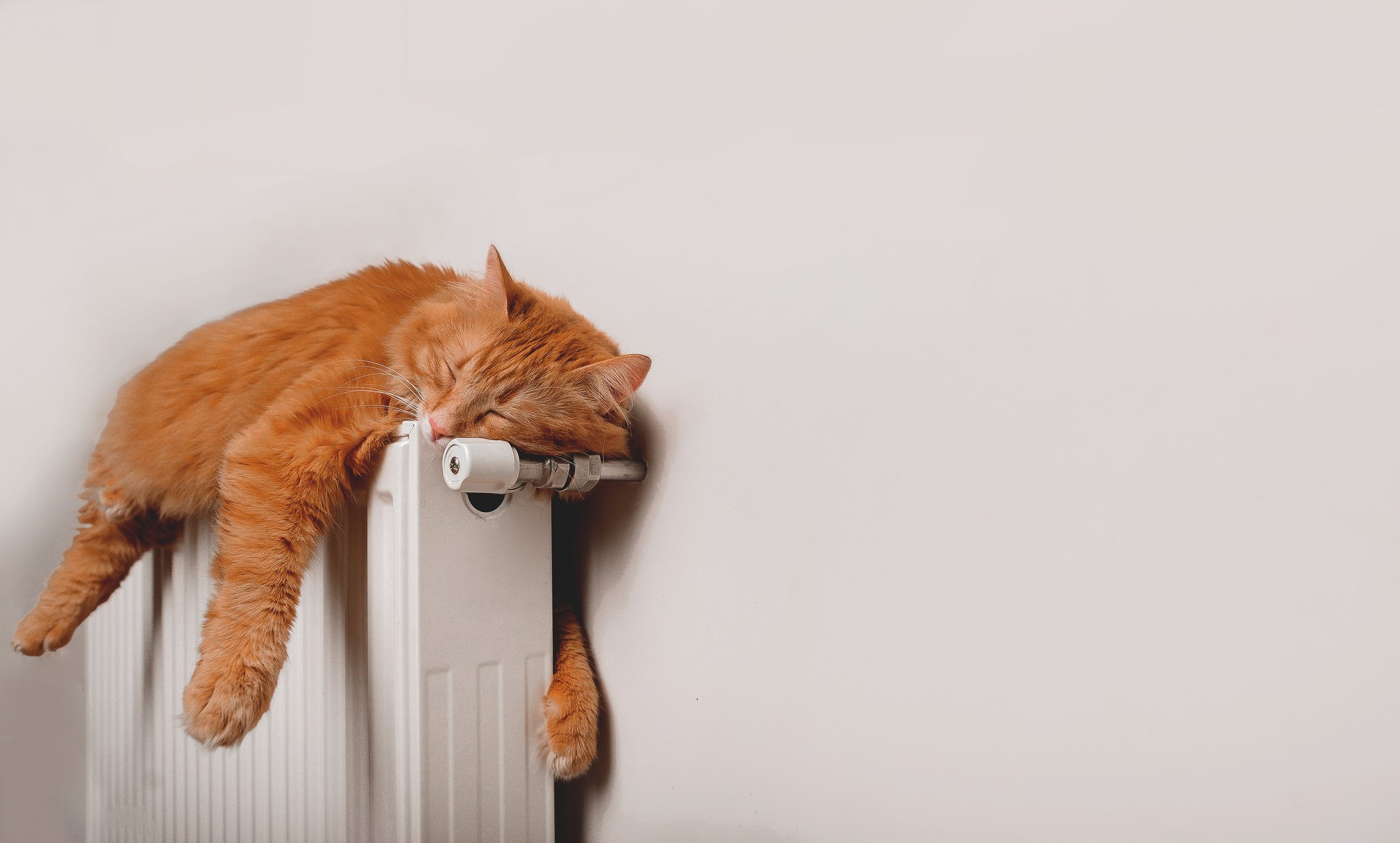 Thermostat und Lüften: So heizen Sie richtig