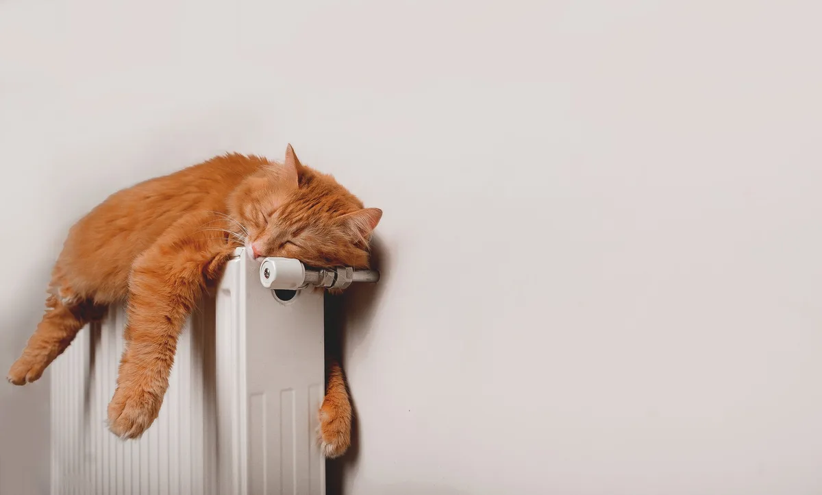 shutterstock_2072855741 Thermostat und Lüften: So heizen Sie richtig