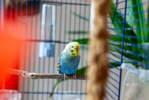 Die Tierschutzverordnung schreibt für die Haltung verschiedener Tierarten Mindestvorschriften vor. Hält sich ein Anbieter daran, bedeutet dies nicht automatisch, dass er ein tierfreundliches Angebot hat.
