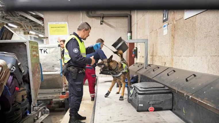 d5bc4761961d968b620c5aec7d6ae81f85a6c6cc Auf dem Förderband rollt Koffer an Koffer vorbei, da muss der Hund auf Trab sein.