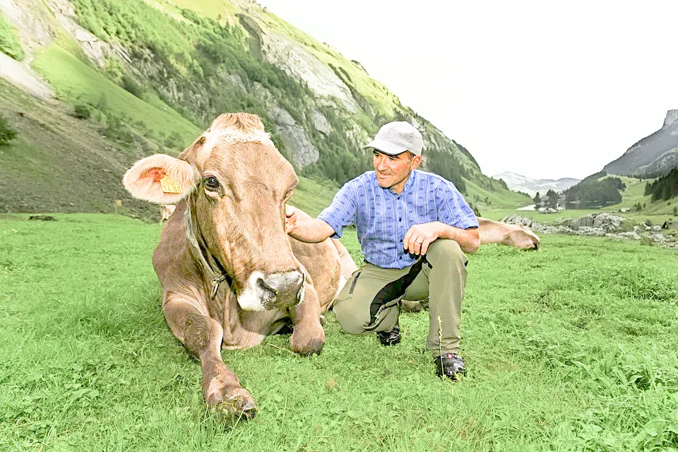 kuh_mieten_copy Ein «Muh» auf Zeit - Kühe vermieten
