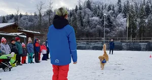 Die Kinder üben, wie sie stehen bleiben sollen, wenn ein Hund auf sie zu rennt.