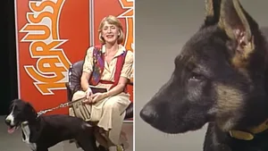 Heidi Abel war 30 Jahre lang das Gesicht des Schweizer Fernsehen und versuchte in verschiedenen Sendungen Tieren ein neues Zuhause zu vermitteln. So auch in der Kultsendung «Karussell».