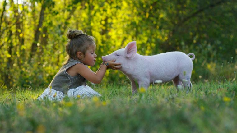 Kleines Mädchen schmust mit Ferkel
