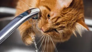 Damit der kostbare Rohstoff nicht knapp wird, pocht die Uno auf die Finanzierung von nachhaltigem Wassermanagement.