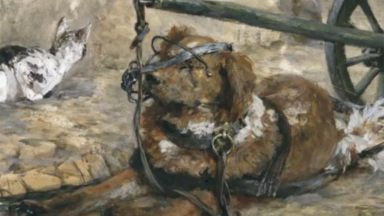 hundeausstellung.jpg
